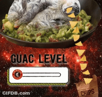 Sloth Lying On Guacamole With Chips GIF