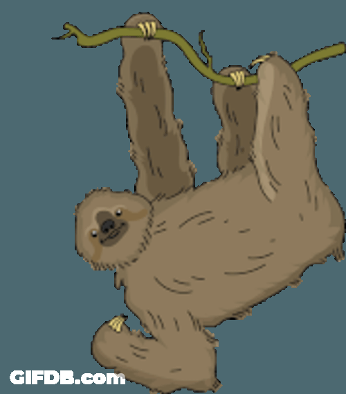 Sloth Maned Three Toed Sloth Sticker GIF