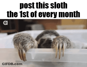Sloth Post This The 1St Of Every Month GIF