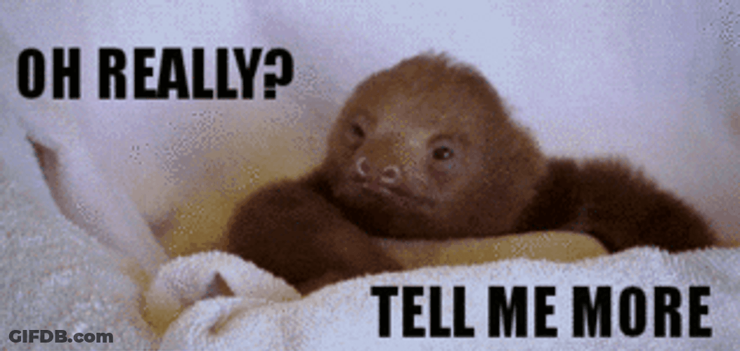 Sloth Really Tell Me More GIF