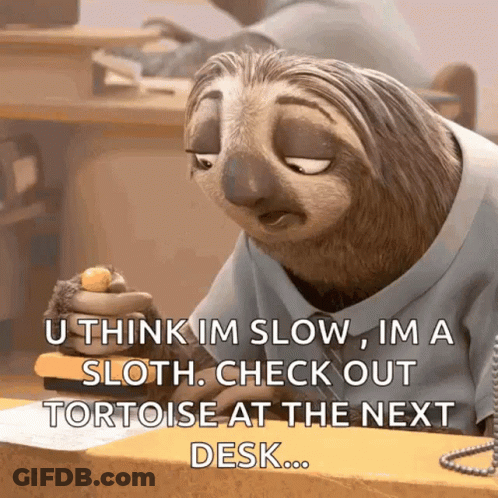 Sloth Says You Think I'm Slow GIF