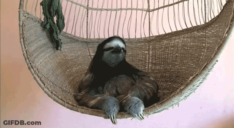 Sloth Sitting On Cradle GIF