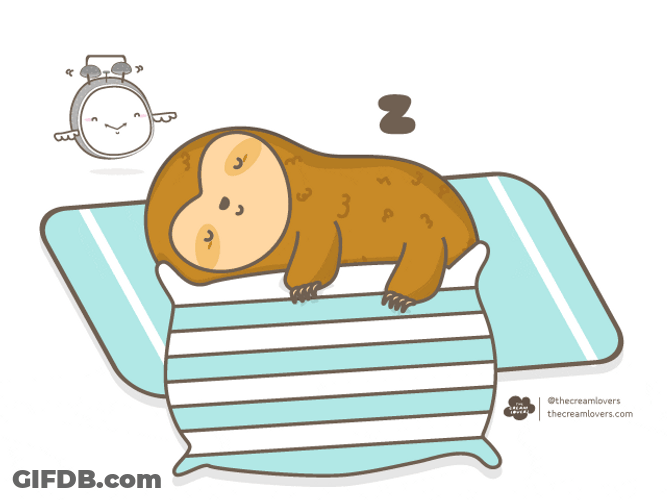 Sloth Sleeping Cute Animal GIF
