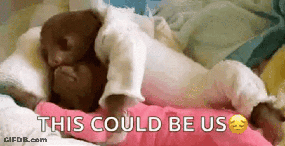 Sloth This Could Be Us GIF