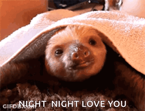 Sloth Under Blanket Saying Night Night Love You GIF