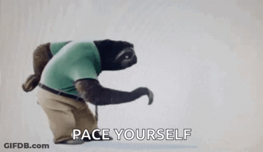 Sloth Walking Pace Yourself Slow Down GIF
