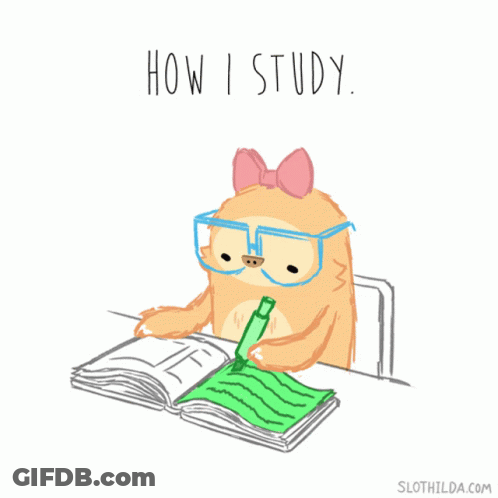 Sloth Wearing Glasses At Desk Saying How I Study GIF