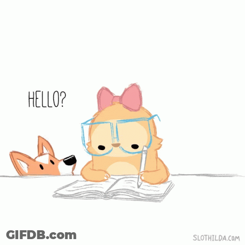 Sloth With Glasses And Bow Saying Excuse Me GIF