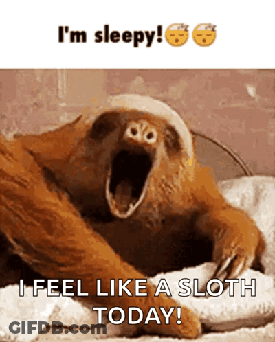 Sloth With Mouth Open Saying I'm Sleepy I Feel Like A Sloth Today GIF