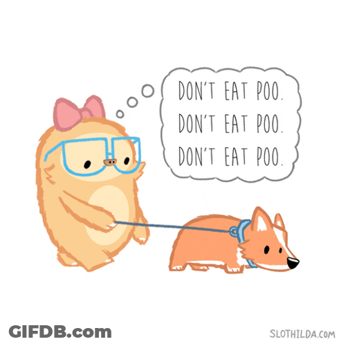 Slothilda Don't Eat Poo GIF