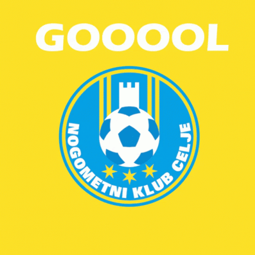 Slovenia Football Club GIF