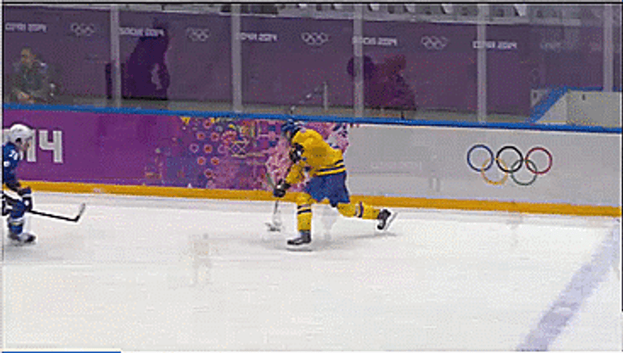 Slovenia Ice Hockey GIF