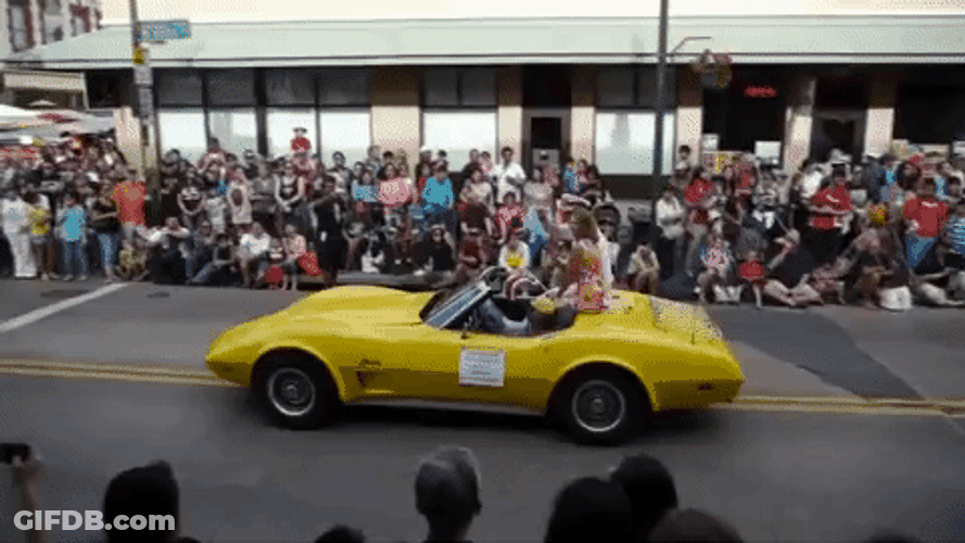 Slow Car Parade GIF