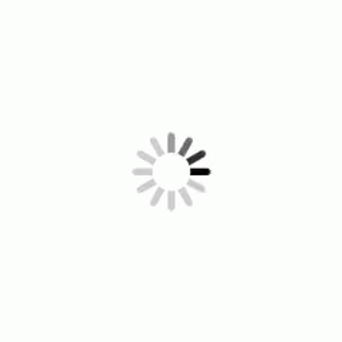 Slow Internet Loading Phase GIF