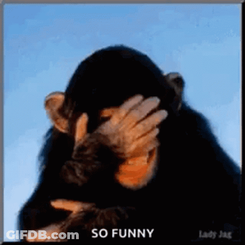 Slow Laugh Chimp Hilarious GIF