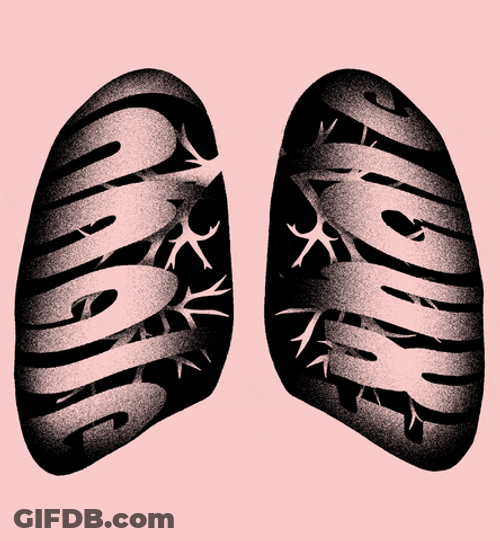 Slow Lungs Breathing Animation GIF