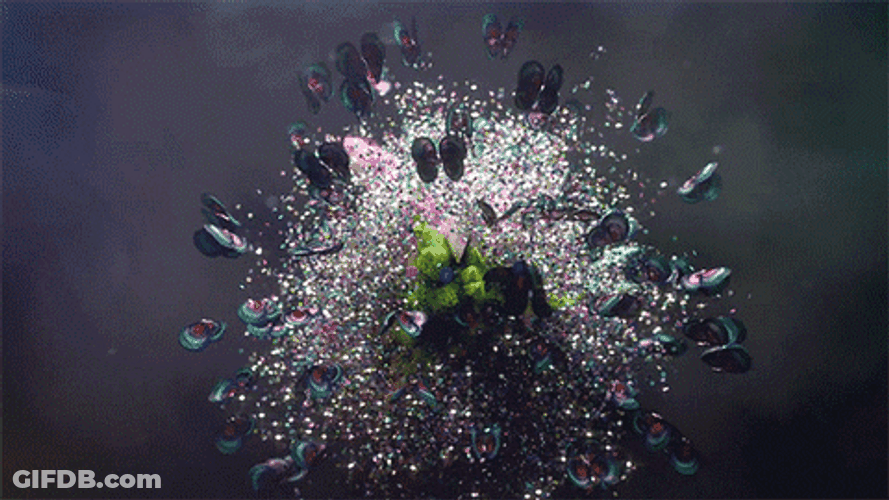 Slow Motion Butterflies GIF