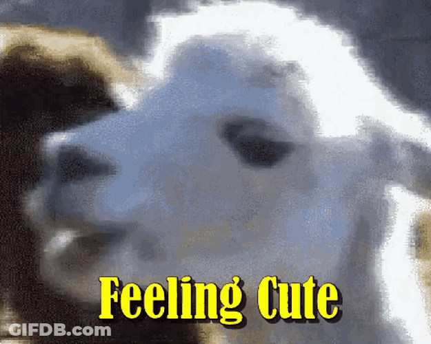 Slow Motion Funny Goat Feeling Cute GIF
