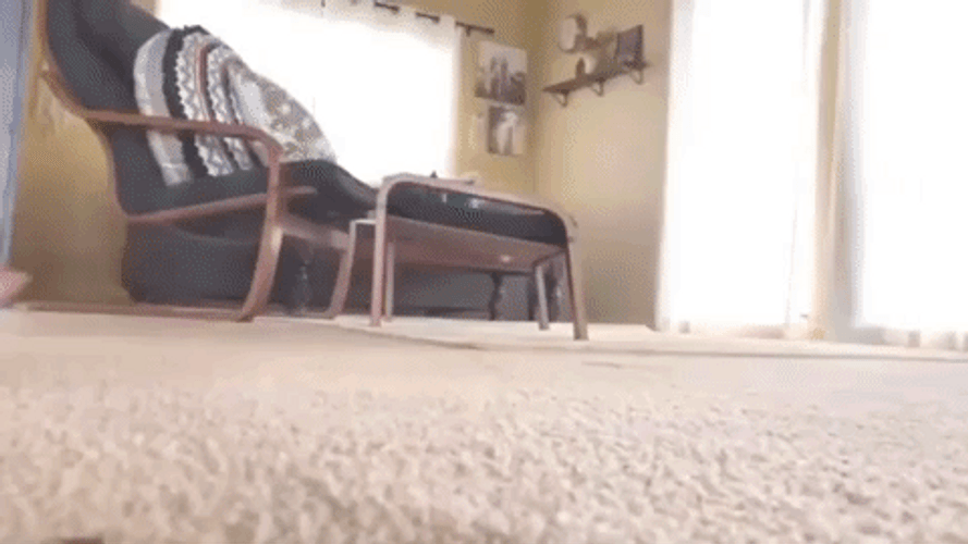 Slow Motion Galloping Pig GIF
