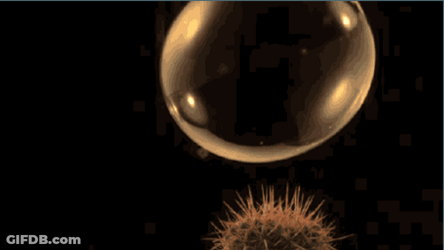 Slow Motion Popping Bubble GIF