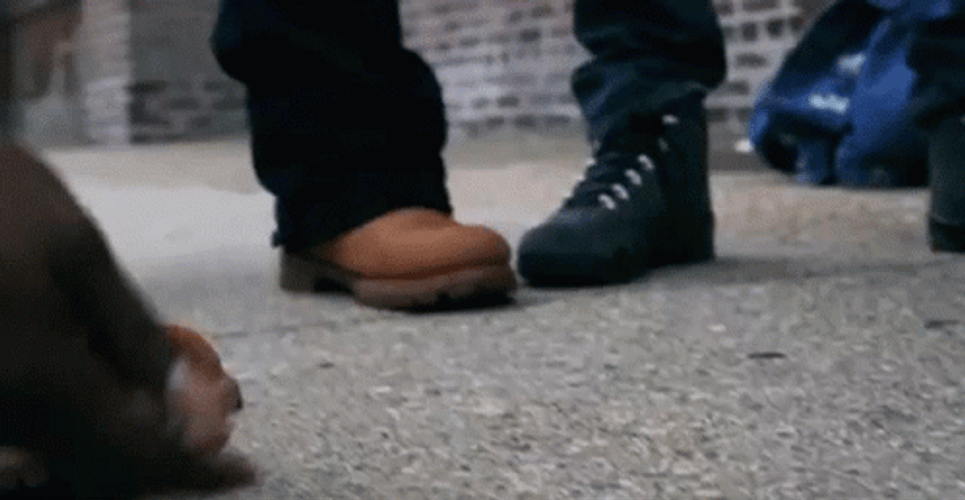 Slow Motion Rolling Dice On Ground GIF