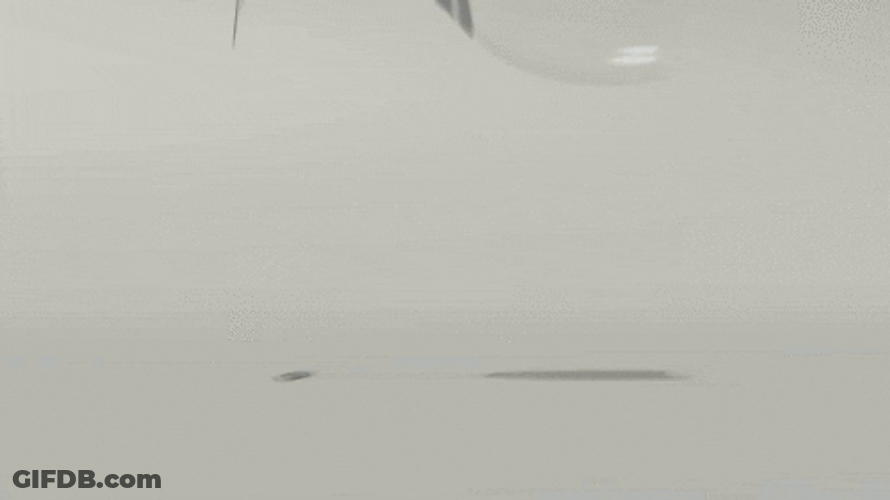 Slow Motion Shattered Wine Glass GIF