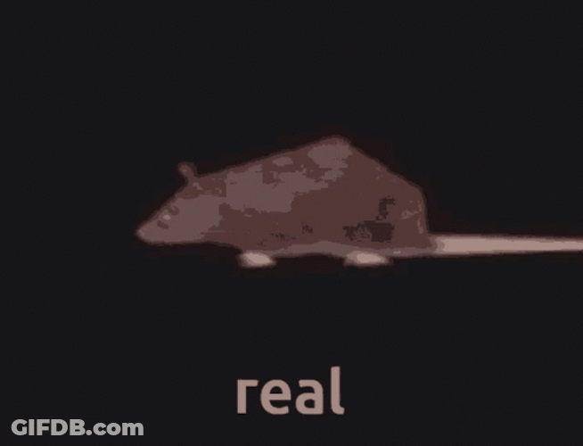 Slow Motion Spinning Animated Rat GIF
