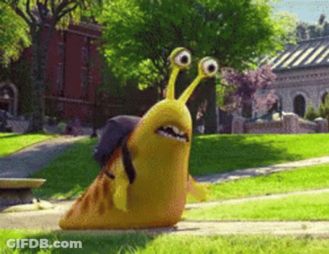 Slow Moving Slug Struggling GIF