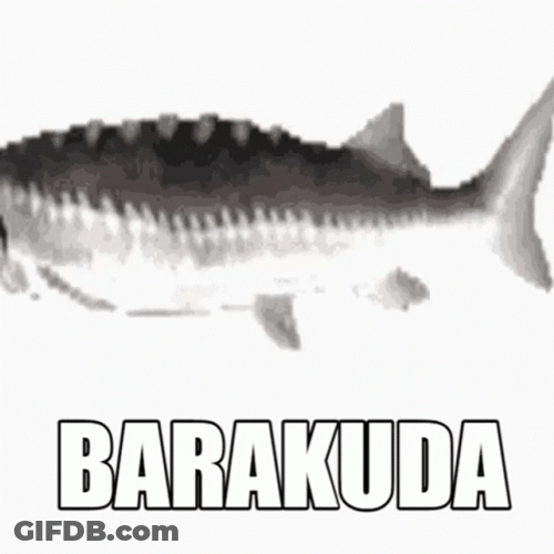Slow Moving Spinning Barakuda Fish GIF