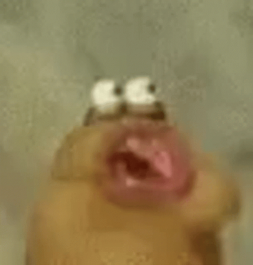 Slug Weird Saying The Blob GIF