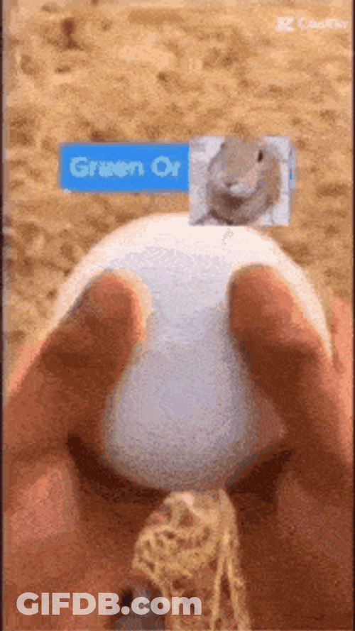 Slungus GIF