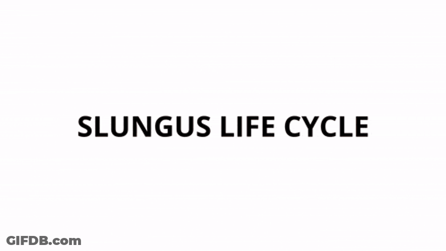 Slungus Life Cycle Item Asylum GIF