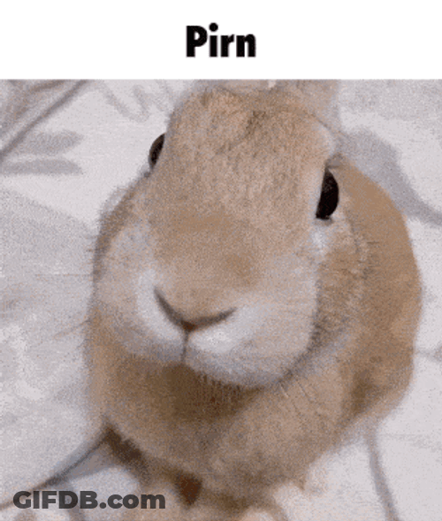 Slungus Pirn GIF