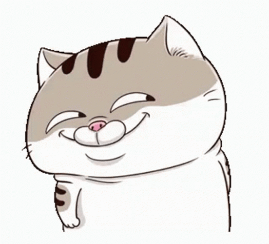 Sly Smile Fat Cat Ami GIF