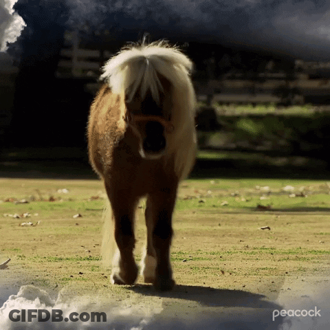Small Brown And White Horse In Field With Clouds Saying Peacock GIF