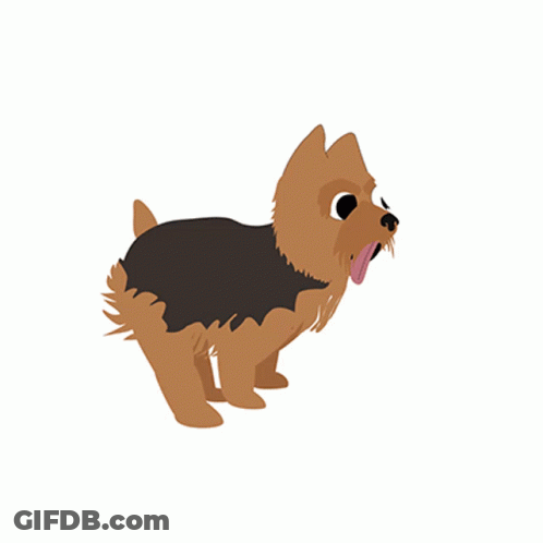 Small Brown Dog Running In Sweater GIF