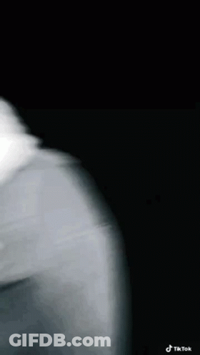 Small Brown Horse Walking In Dirt Field GIF