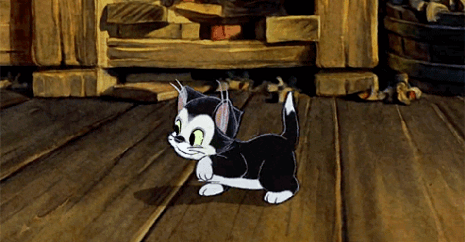 Small Cat Figaro Strolling GIF