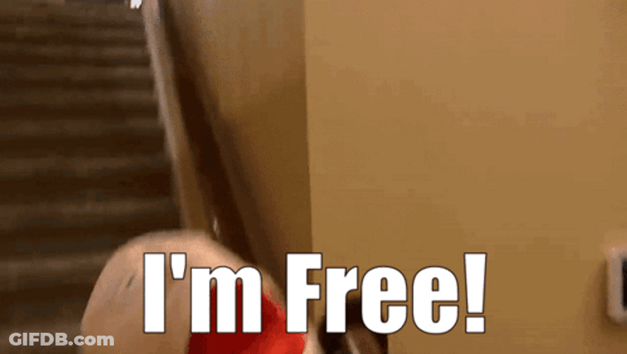 Small Chives Im Free GIF