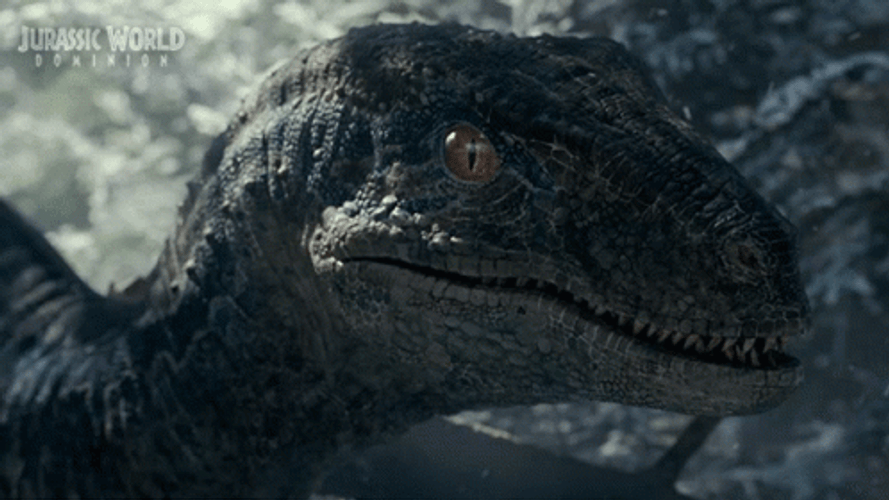 Small Dinosaur Of Jurassic World Screeching GIF