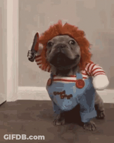 Small Dog Dressed As Chucky Holding Knife GIF