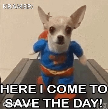 Small Dog Dressed As Superman Running On Treadmill GIF