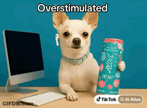 Small Dog Holding Energy Drink In Front Of Computer GIF