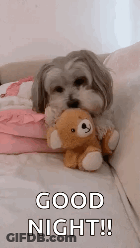 Small Dog Holding Teddy Bear Saying Good Night GIF