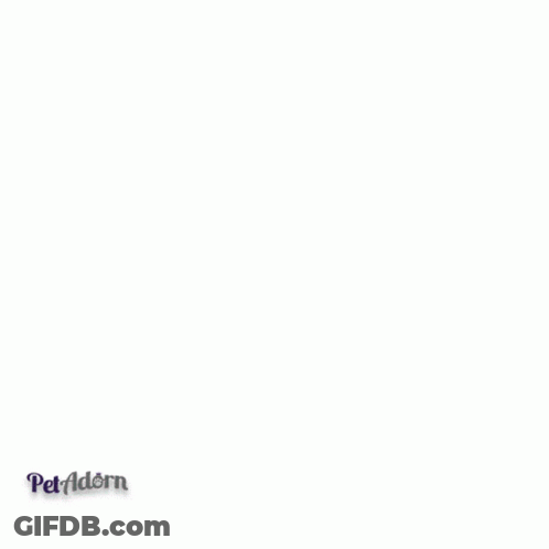 Small Dog In Baseball Cap Saying Got Balls GIF
