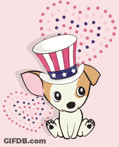 Small Dog In Star Top Hat GIF