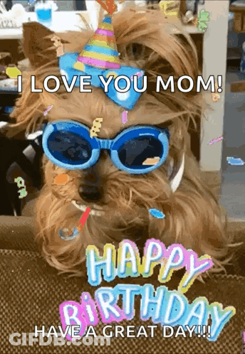 Small Dog In Sunglasses And Party Hat Says I Love You Mom GIF