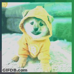 Small Dog In Yellow Hoodie With B GIF