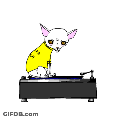 Small Dog On Spinning CD Player GIF
