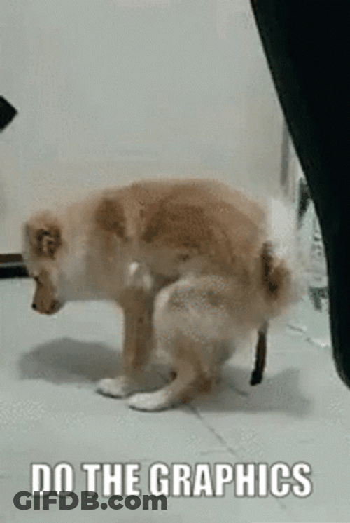 Small Dog Releasing Long Poop GIF